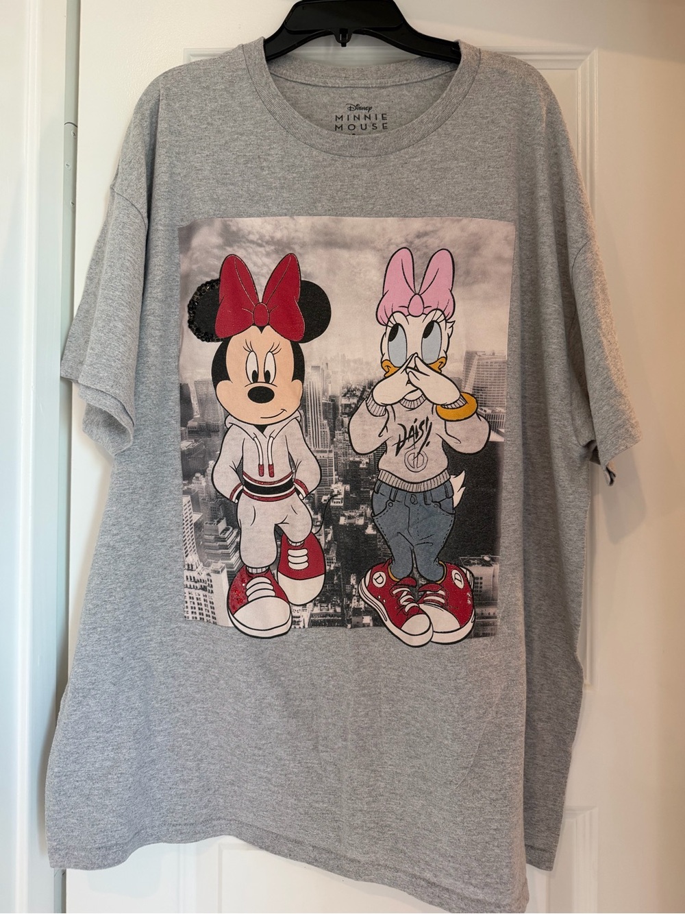 Disney Minnie Mouse & Daisy Duck Women’s Large Oversized Graphic T-Shirt